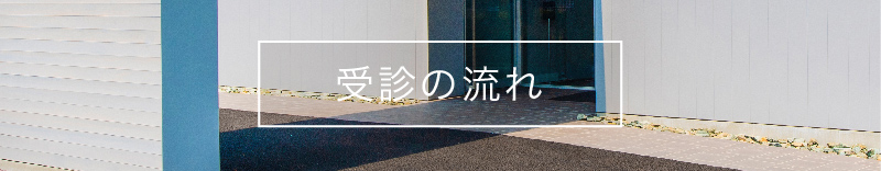 笠岡眼科の受診の流れ