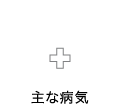 白内障をはじめとした「主な病気」の紹介